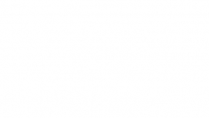 LTC Martin BACHVAROV